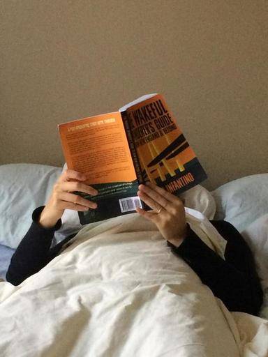 LoMa reads the Wakeful Wanderer in bed